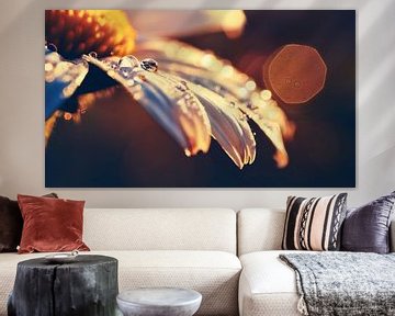 Bloemen met zonsondergang van Mustafa Kurnaz