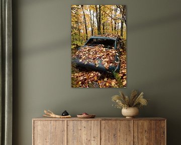 A car watch in the forest in autumn by Claude Laprise