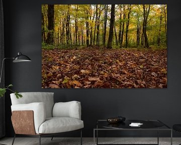 A maple forest in autumn by Claude Laprise