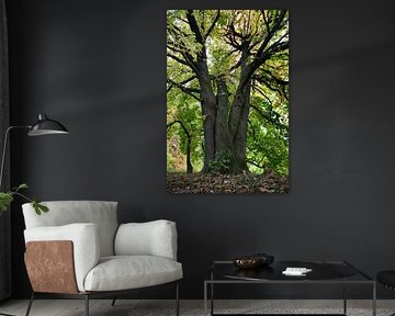 Der Baum in all seinen eigenen freien Formen