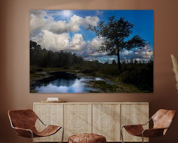 Boslandschap met Spiegelend Water en Zonnestralen - Natuurfotografie Noord-Brabant