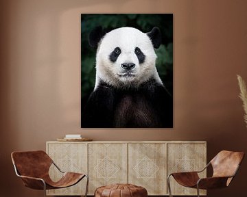 Reuzenpanda portret