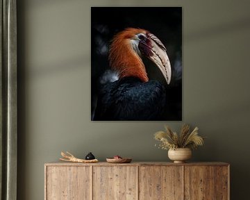 Papoea-Jaarvogel van Marc van Tilborg