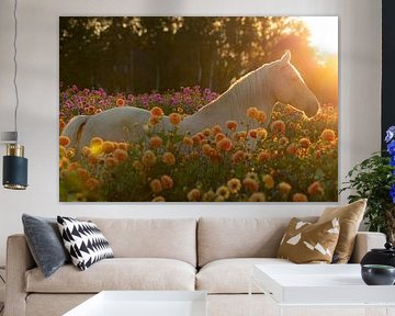 Pferd im Blumenfeld, Dahlie, bei Sonnenuntergang - Verträumte Naturfotografie von Jolanda Hugens Kommers