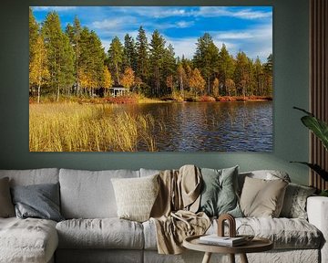 Autumn gold by the water - At Myrkulla Lodge in northern Sweden