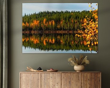 Mirror of the season - autumn colours on the lake in northern Sweden