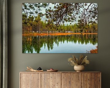 Reflecterend herfstbos bij een meer in Zweden