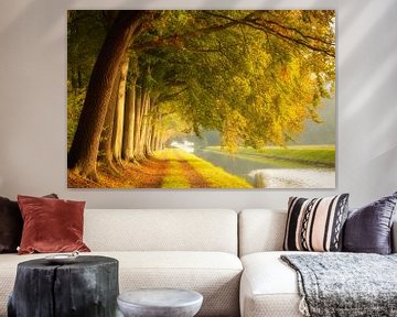 Prachtige herfstfoto van bomen aan het water van KB Design & Photography (Karen Brouwer)