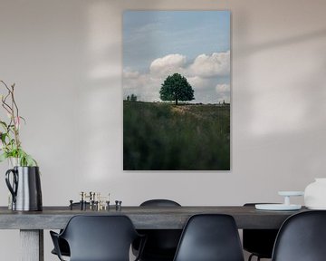 Eenzame Eik op de Veluwe van Dave Adriaanse