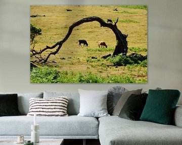 Kromme boom en koeien van Michel van Kooten