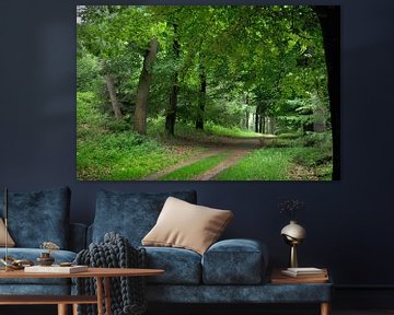 Carriage track through the forest by Corinne Welp