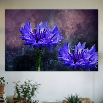 Cornflowers