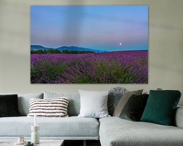 Lavender Moon II von Marcel de Groot