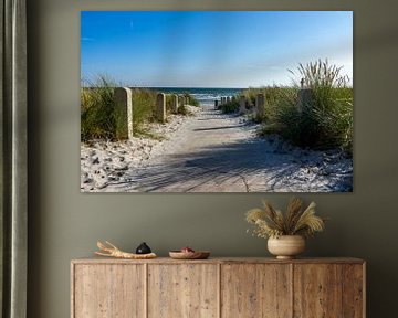 Strandpad naar zee aan de Oostzee op Rügen van Animaflora PicsStock