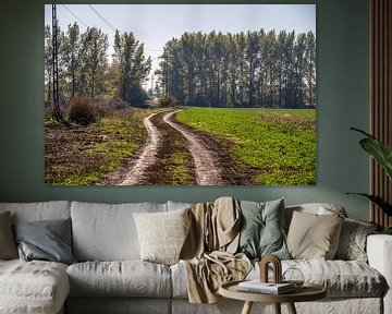 Wandelendoor de weilanden van Tiszaszentimre