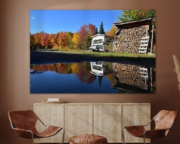 Une érabliere en automne sur Claude Laprise