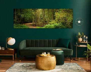 Bospad met bruggetje in de herfst (panoramafoto, HR) by Fotografie Jeronimo