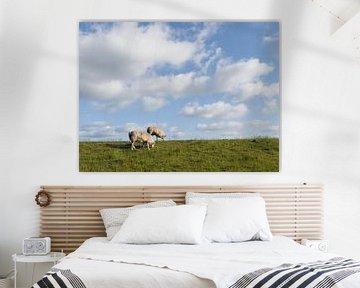 Schapen op de Waddendijk op Texel van Joep Dirkx