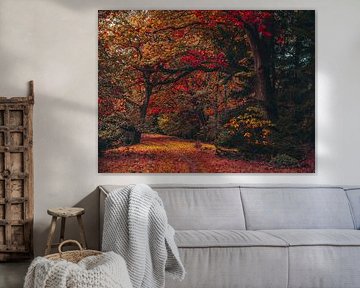 autumn by snippefotografie