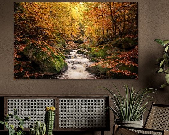 Aperçu de la chambre