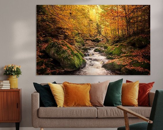 Aperçu de la chambre