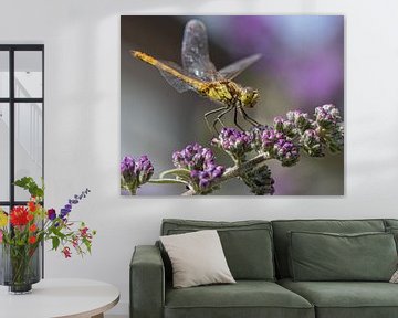Libelle op paarse vlinderstruik van Karen de Boer