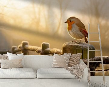 Robin in winter mood by Preet Lambon