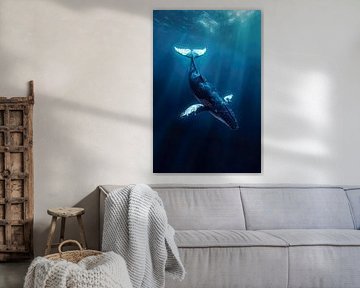 Bultruggen / Walvissen in de oceaan van PixelPrestige