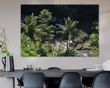 Jungle Vallei van Bianca ter Riet