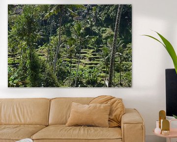 Theeveld op Bali van Bianca ter Riet