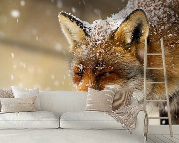 Fox in the snow by Menno Schaefer