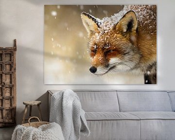 Fox in the snow by Menno Schaefer