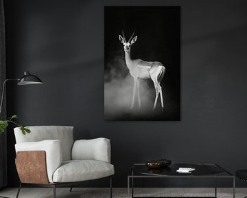 Antilope van Poster Art Shop