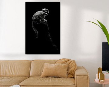Apen van Poster Art Shop