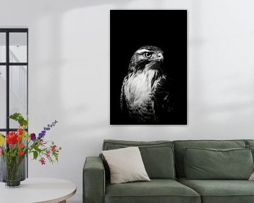 Falcons. van Poster Art Shop