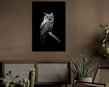 Uil van Poster Art Shop