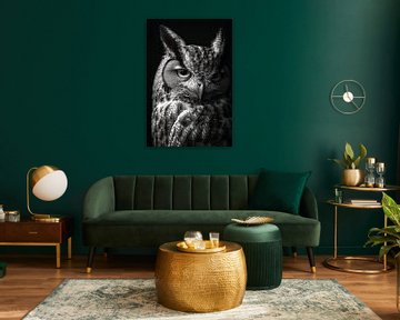 Uil van Poster Art Shop