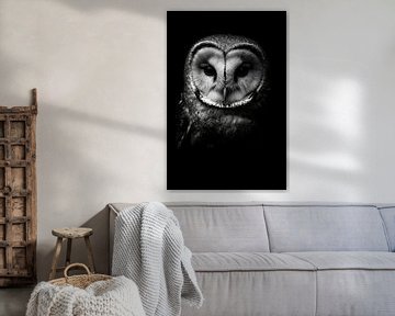 Uil van Poster Art Shop