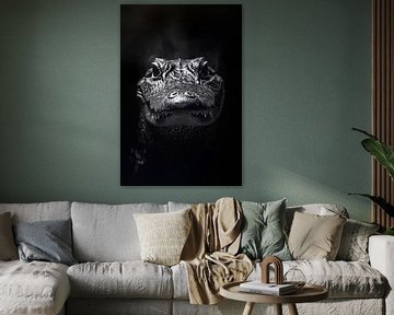 Krokodil. van Poster Art Shop