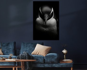 Penguin by Poster Art Shop