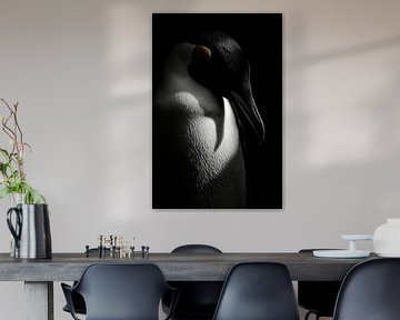Pinguïn van Poster Art Shop