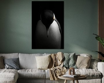 Penguin by Poster Art Shop