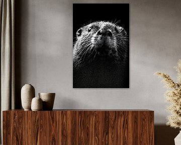 Otter van Poster Art Shop