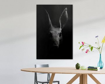 Deer by Poster Art Shop