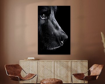 Dog by Poster Art Shop