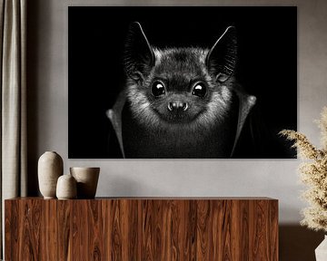 Chauve-souris sur Poster Art Shop