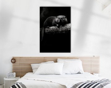 Otter van Poster Art Shop