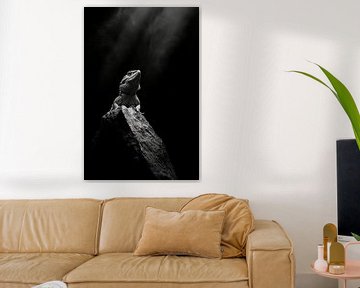 Lizard by Poster Art Shop