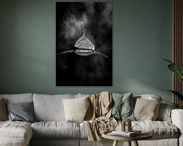 Haai van Poster Art Shop