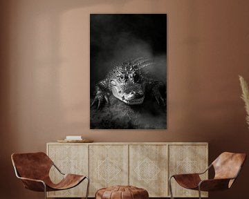 Krokodil van Poster Art Shop